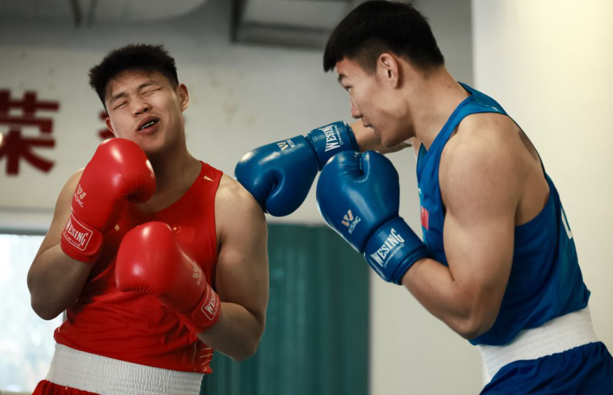如何使用乐鱼体育平台app获取实时比赛信息